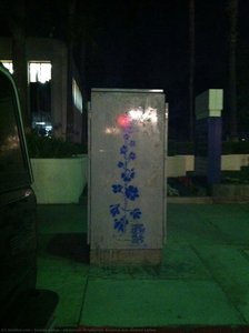Christmas Delphinium Random Act, Andrea Lahue — Andrea Lahue