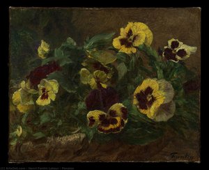 Pansies — Henri Fantin-latour