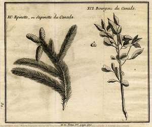 1.epinette Ou Sapinette You Canada; 2.bourgs You Canada — Pierre François Xavier De Charlevoix