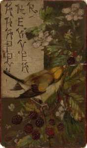 A Finch Picking At Blackberries — Beatrix Whistler