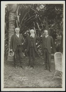 Thomas Edison, John Burroughs And Henry Ford In Fort Myers, Florida, 1914 — Alfred William Hunt