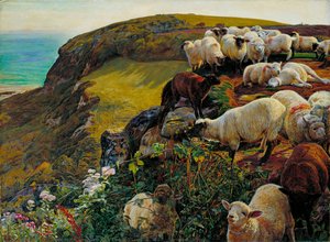 Our English Coasts, 1852 (`strayed Sheep — विलियम होलमैन हंट