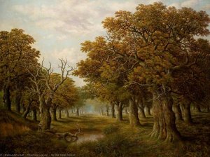 In The New Forest — Charles Leaver