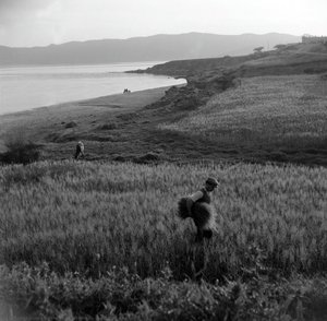 Land And Sea — Voúla Papaïoánnou