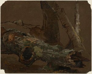 Log And Lower Parts Of Tree Trunks — Jasper Francis Cropsey