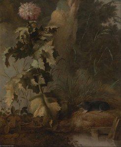 An Egyptian Poppy And A Water Mole — ジョン・クローム