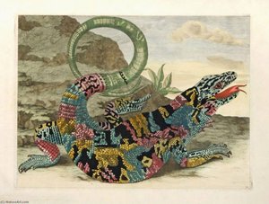 Lizard — Maria Sybilla Merian