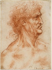 Testa Virile Di Profilo Coronata Di Alloro, C. 1506-10 (sanguigna Con Contorni Ripassati A Penna Su Carta Bianca) — Leonardo Da Vinci E Andrea Del Verrocchio