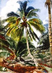 Palmeras, Las Bahamas — Winslow Homer