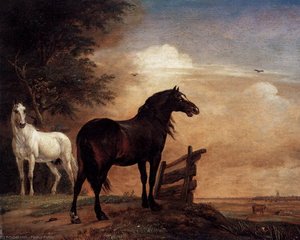 Horses In A Field — Paulus Potter
