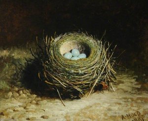 Nest With Four Eggs — Abel Hold