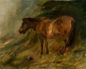 A Bay Pony Sheltering — Robert L Alexander