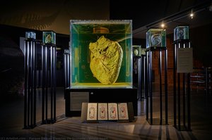 Whale Heart — Parque De Las Ciencias De Granada