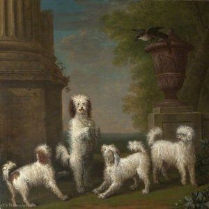 Dancing Dogs 'lusette', 'madore', 'rosette' And 'moucheby' — John Wootton
