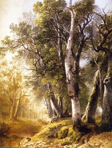 Bäume Am Bachufer, Kingston, New York — Asher Brown Durand