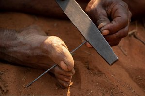 Sharpening The Arrow — Tessa Barlin