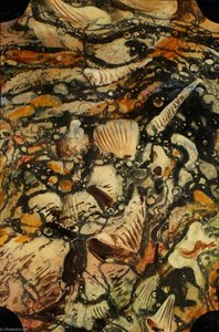 Shells — Alfred Worthington