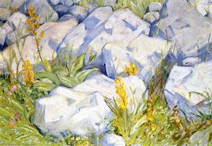 Malý Výzkum Kamenů — Franz Marc