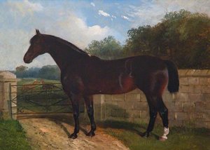 'hungerford Mare' — John Duvall