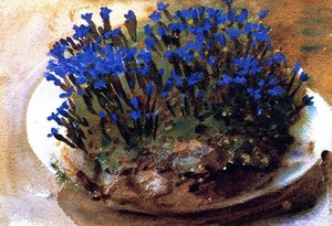 Gentianes Bleues — John Singer Sargent