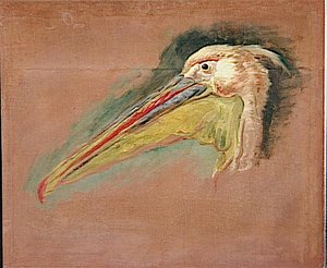 Tête De Pélican — Boel Pieter (boule)