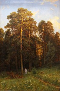 At The Edge Of A Pine Forest — ივან შიშკინი