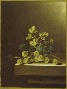 English Spray Of Green Gooseberries On A Stone Plinth — After Adriaen Coorte