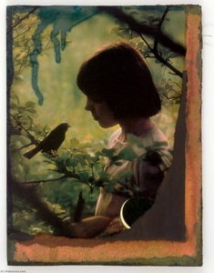 Untitled (girl In Woods Looking At Bird On Tree Branch) — Џозеф Корнел