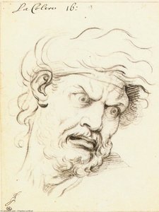Expresiones De Las Pasiones Del Alma — Charles Le Brun