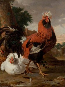 Fowl — Melchior De Hondecoetter