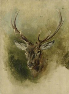 Two Studies Of A Stag's Head (recto) — Sir Edwin Henry Landseer