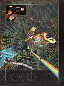 Untitled (how To Make A Rainbow, Two Multicolored Birds With Nest) — Joseph Cornell