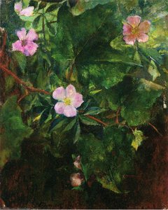 Wild Roses And Grape Vine, Study From Nature — John La Farge