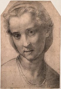 Head Of A Woman — Andrea Del Sarto