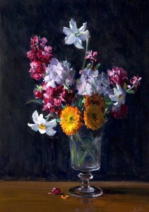 Spring Flowers — Hans Iten
