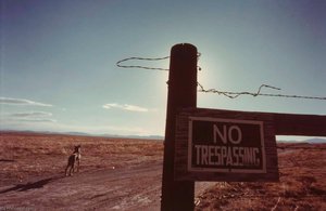 Buffalo Rancher, From The Wyoming Documentary Survey Project — Penny Diane Wolin