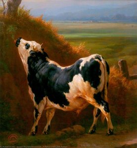 A Bull In A Normandy Pasture — Jacques Raymond Brascassat