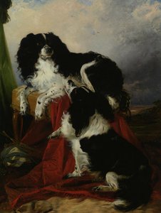 King Charles Spaniels — Richard Ansdell