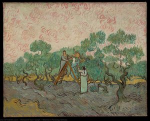 Mujeres Recogiendo Aceitunas — Vincent Willem Van Gogh