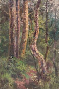 At Addington, Croydon, Surrey, July 1896 — William Henry Hope