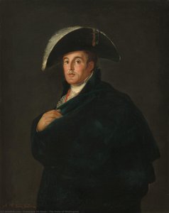 The Duke Of Wellington — Francisco José De Goya Y Lucientes