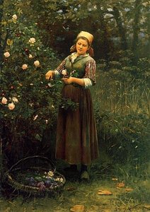 Cutting Roses — Daniel Ridgway Knight