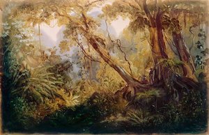 Jungle — Johann Moritz Rugendas