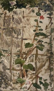 Gloriose Glicine E Nasturtii — Édouard Manet