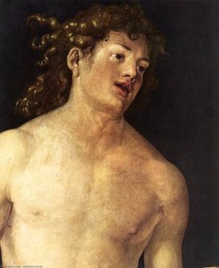 Adam (détail) — Albrecht Dürer