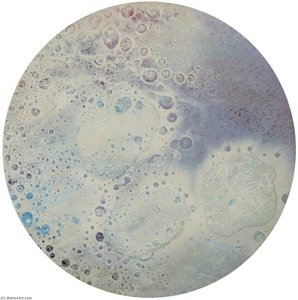 Thaler — Liza Gough Daniels