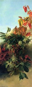 Madrone, Dogwood And Elderberry (i) — Abbey Williams Hill