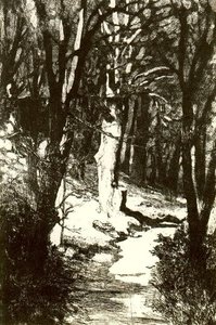 In The Forest — Max Klinger