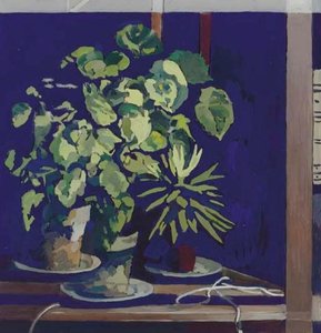 Begonias — Charles Rettew Sheeler Junior
