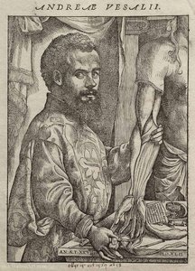 Portrait Of Vesalius From His De Humani Corporis Fabrica. — Andreas Vesalius